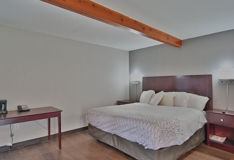 Maplehurst Motel