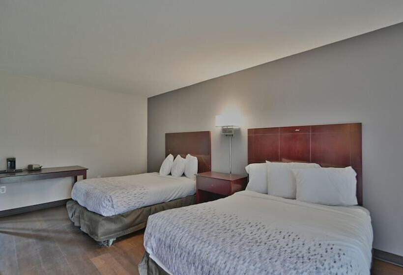 Maplehurst Motel