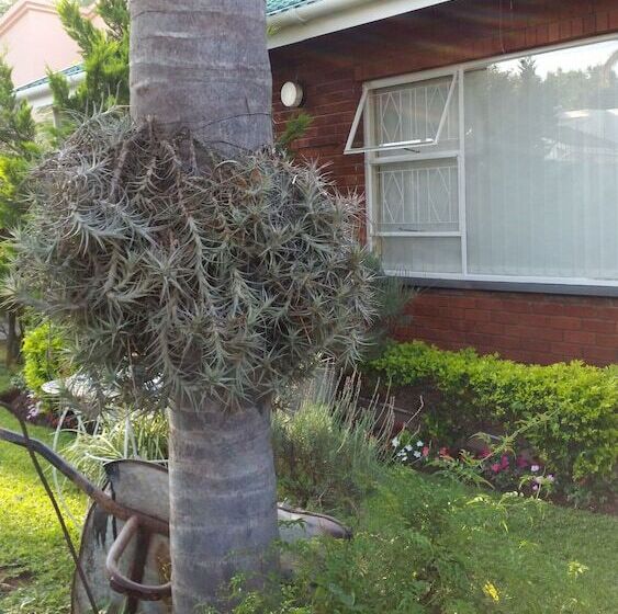 פנסיון Memra Guest House