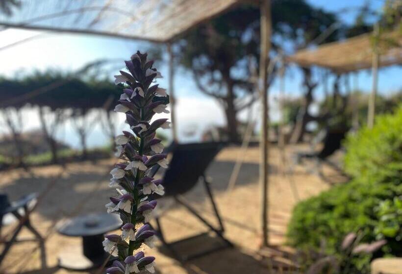 簡易ホテル Posada Portal Del Sol