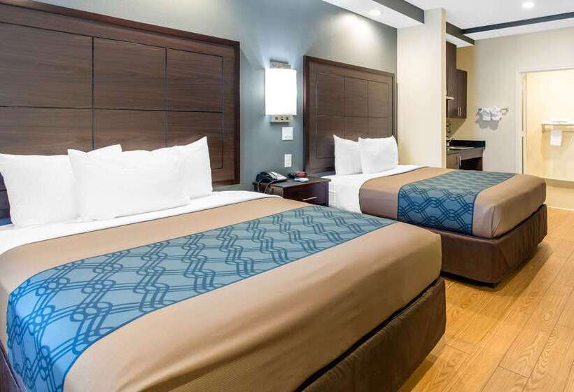 Fotos del hotel Econo Lodge Inn & Suites Houston Willowbrook:  73