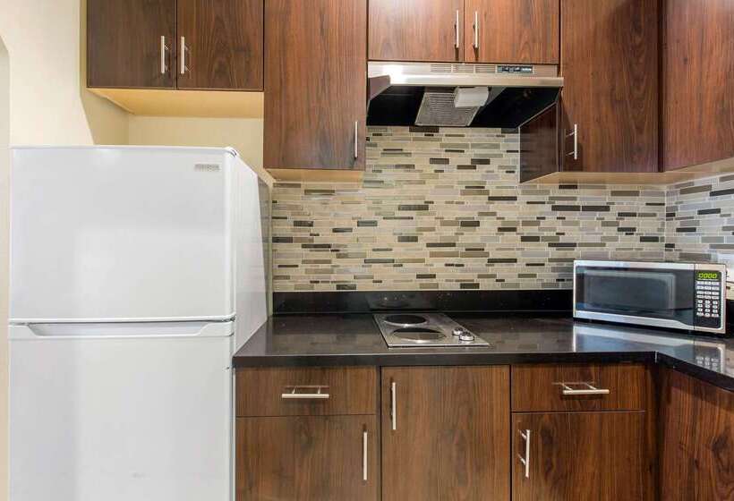 Fotos del hotel Econo Lodge Inn & Suites Houston Willowbrook:  42