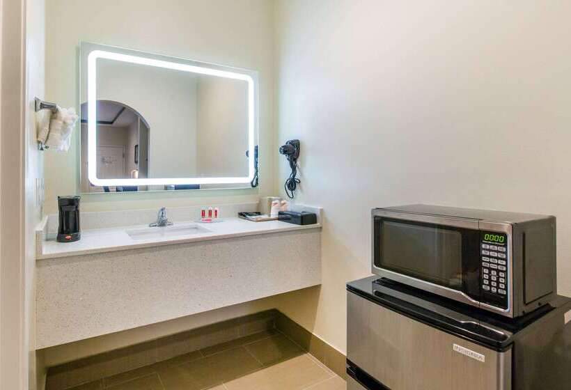 Fotos del hotel Econo Lodge Inn & Suites Houston Willowbrook:  56