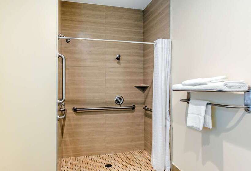 Fotos del hotel Econo Lodge Inn & Suites Houston Willowbrook:  51