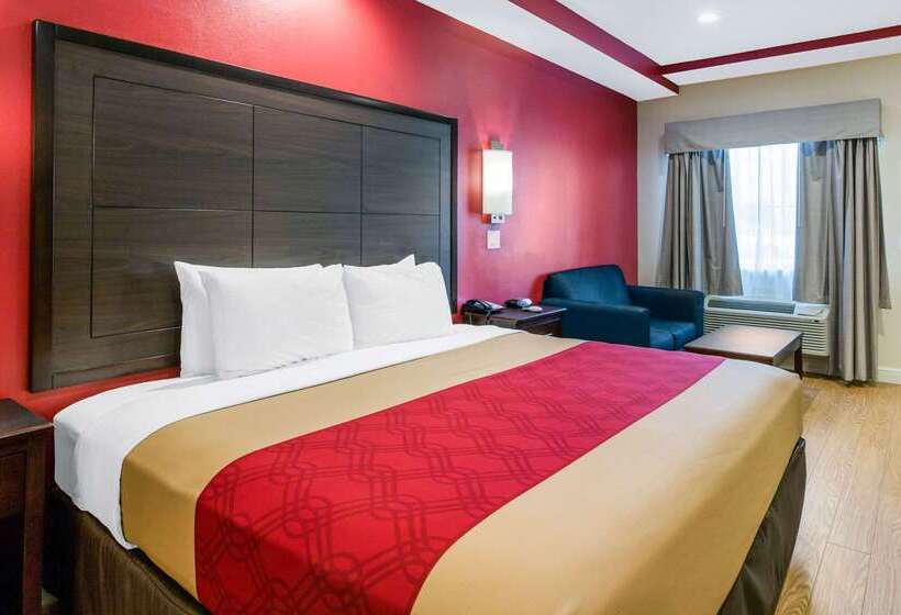 Fotos del hotel Econo Lodge Inn & Suites Houston Willowbrook:  40