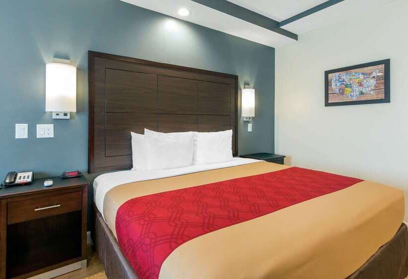 Fotos del hotel Econo Lodge Inn & Suites Houston Willowbrook:  54