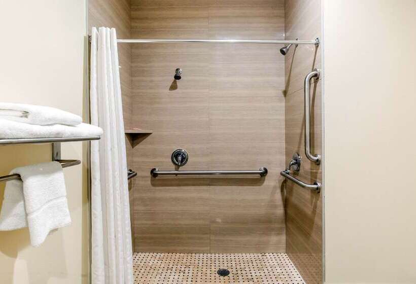 Fotos del hotel Econo Lodge Inn & Suites Houston Willowbrook:  45