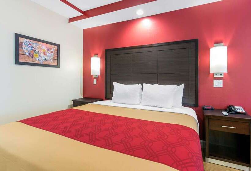 Fotos del hotel Econo Lodge Inn & Suites Houston Willowbrook:  8