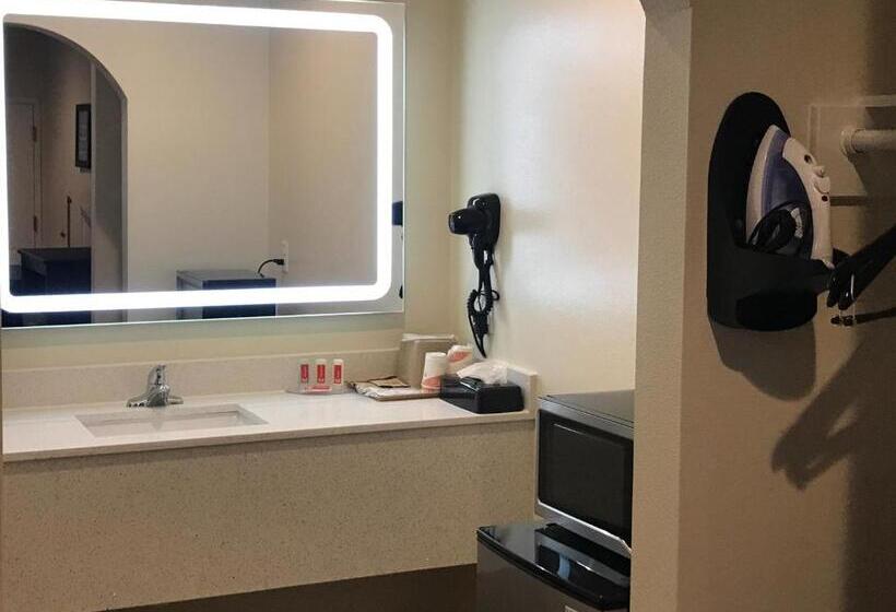 Fotos del hotel Econo Lodge Inn & Suites Houston Willowbrook:  4