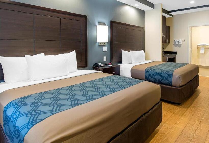 Fotos del hotel Econo Lodge Inn & Suites Houston Willowbrook:  24