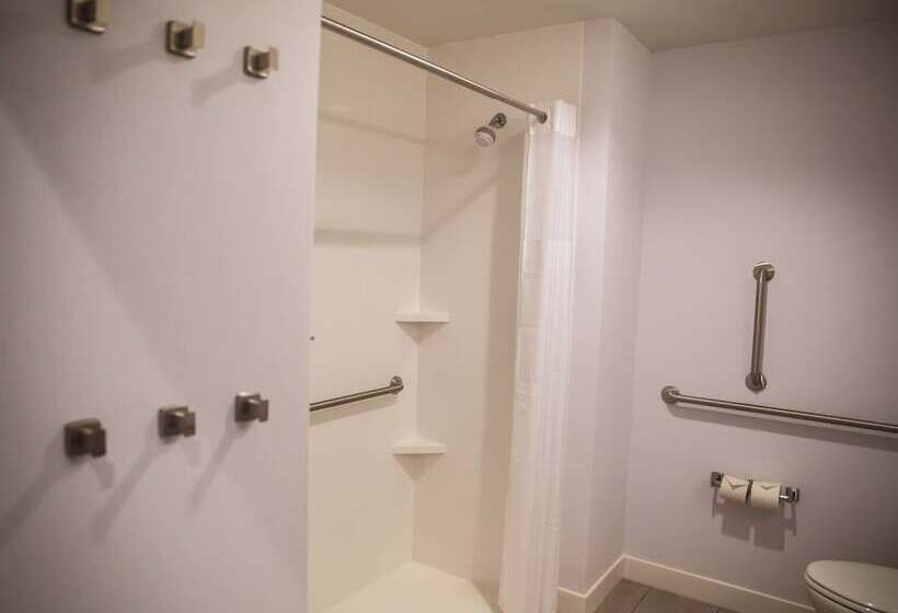 فندق Hampton Inn Pontiac