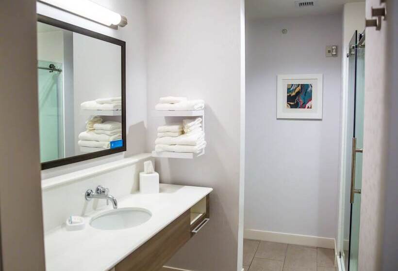 فندق Hampton Inn Pontiac