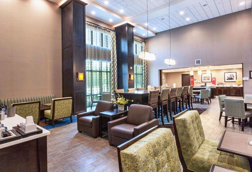 هتل Hampton Inn & Suites Duluth North / Mall Area