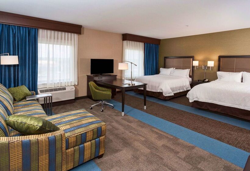 هتل Hampton Inn & Suites Duluth North / Mall Area