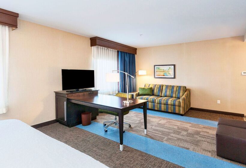 هتل Hampton Inn & Suites Duluth North / Mall Area