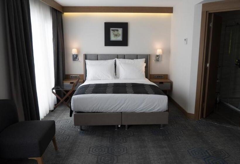 Fotos del hotel Yuksel Istanbul Yenikapi:  3