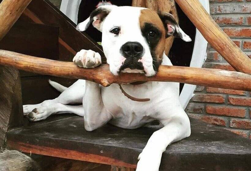 هاستل Hostal Rutamar