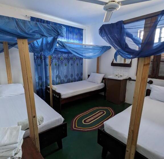 هتل Flamingo Guest House Znz