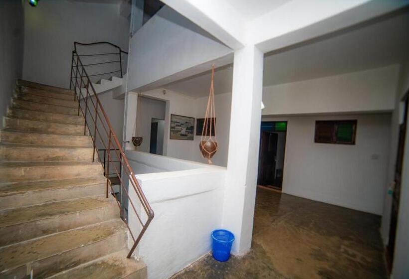هتل Flamingo Guest House Znz