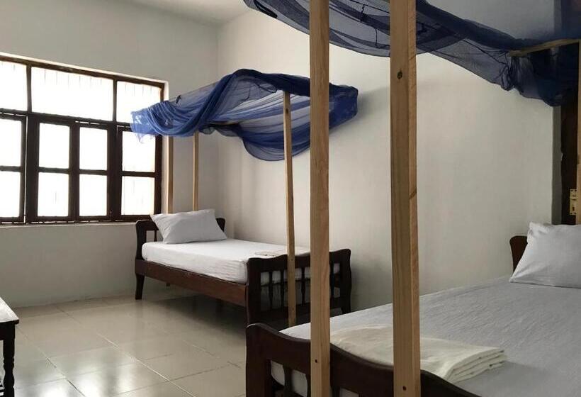 هتل Flamingo Guest House Znz