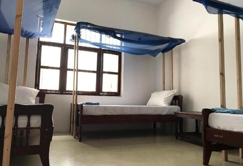 هتل Flamingo Guest House Znz