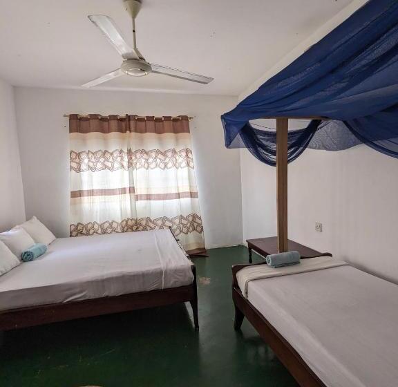هتل Flamingo Guest House Znz
