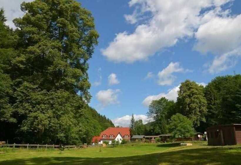 فندق Sommerfrische Lothramühle