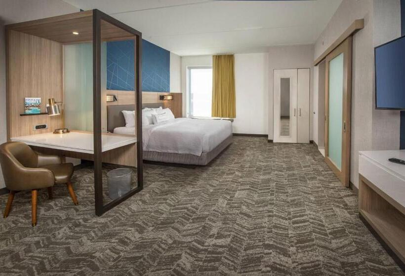 酒店 Springhill Suites By Marriott Gainesville Haymarket