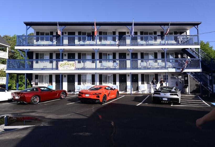 Island View Motel