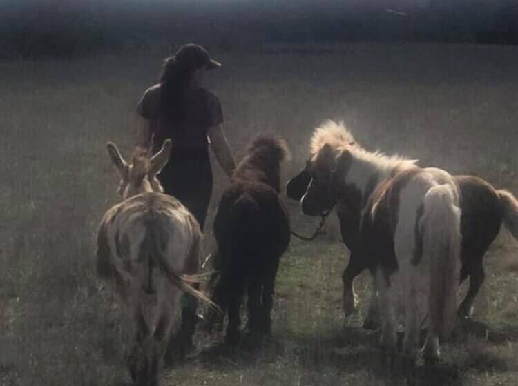 민박 City On A Hill At Spring Creek