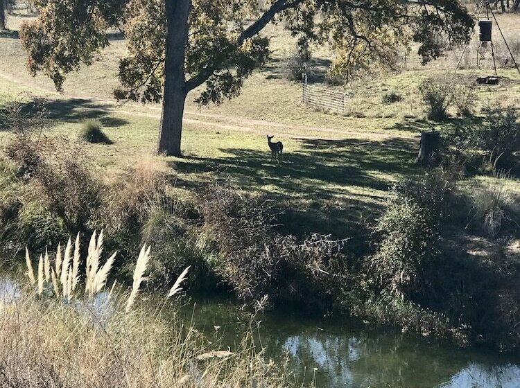 민박 City On A Hill At Spring Creek