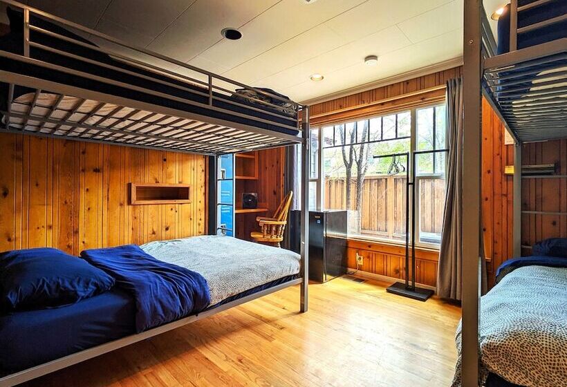 Bunk & Brew Historic Lucas House  Hostel