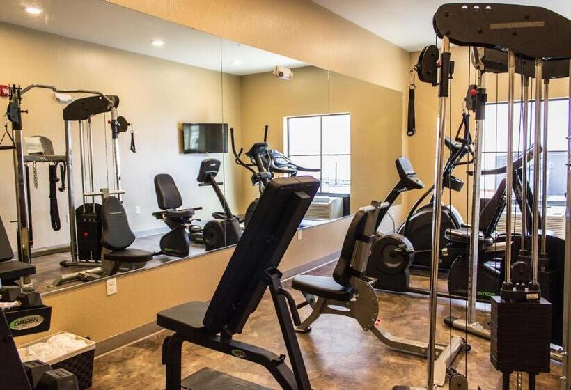 Cobblestone Hotel & Suites   Stevens Point