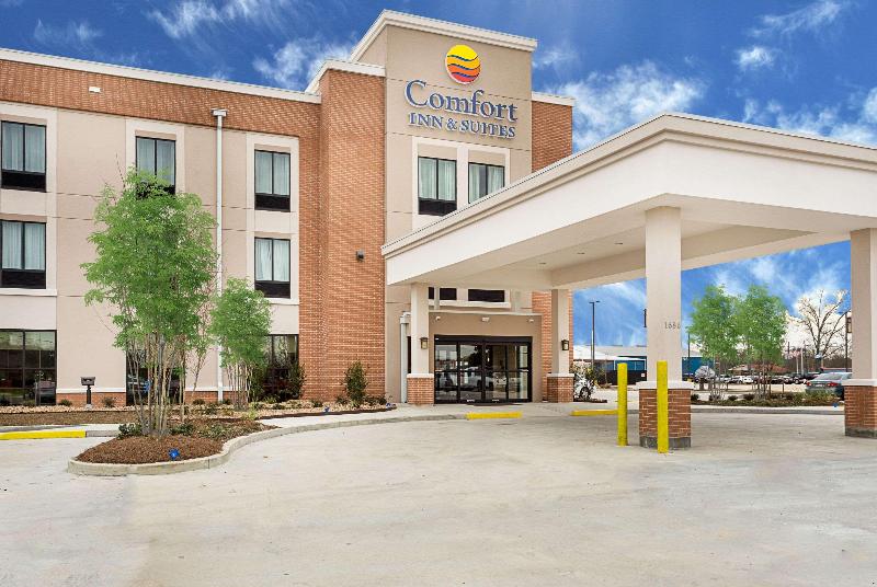בית מלון כפרי Comfort Inn & Suites Zachary