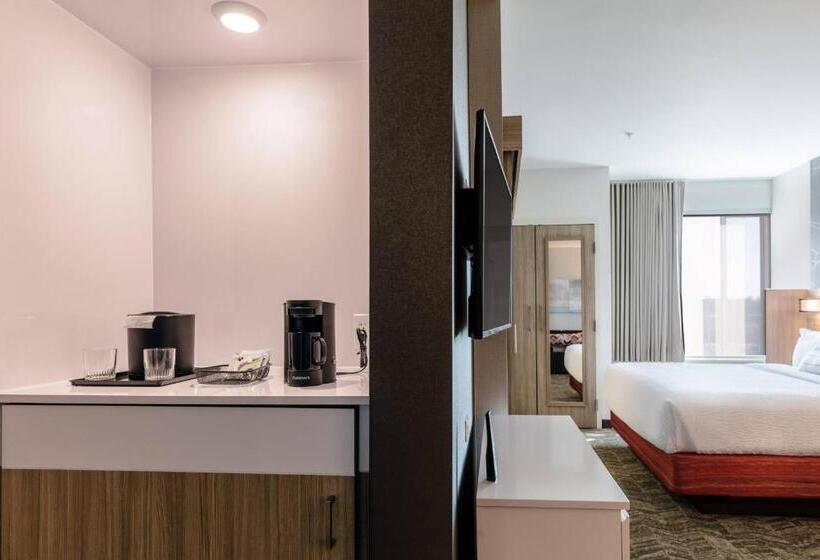 فندق Springhill Suites By Marriott Columbia