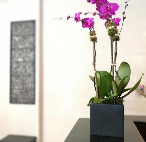 酒店 Wyndham Garden Fresh Meadows Flushing