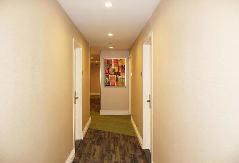 酒店 Wyndham Garden Fresh Meadows Flushing