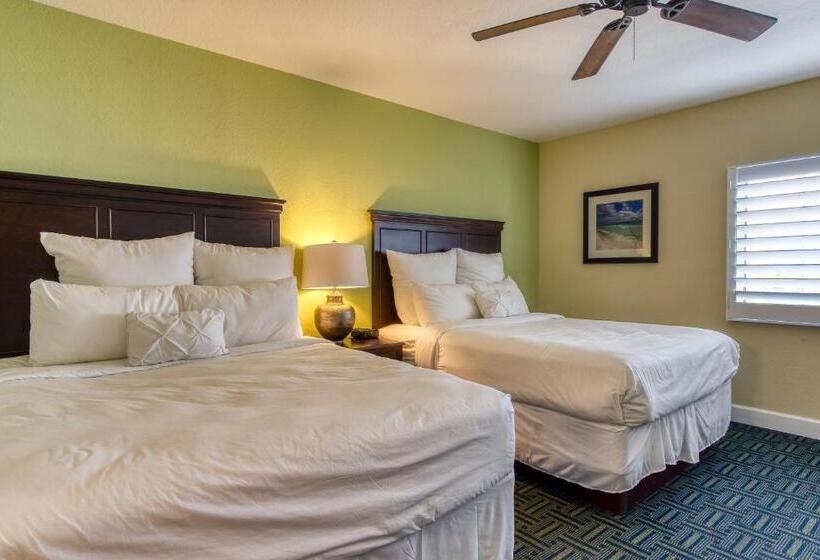 אתר נופש New Hotel Collection Harbourside