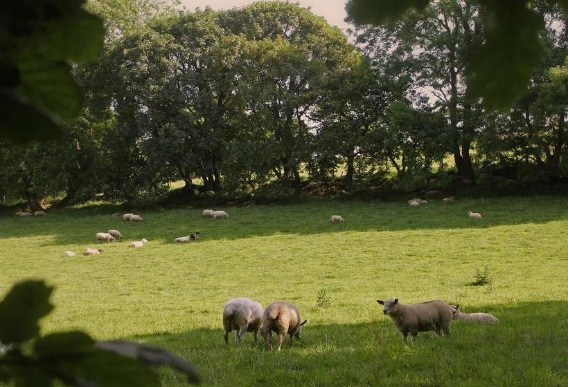 Acorn Farm B&b