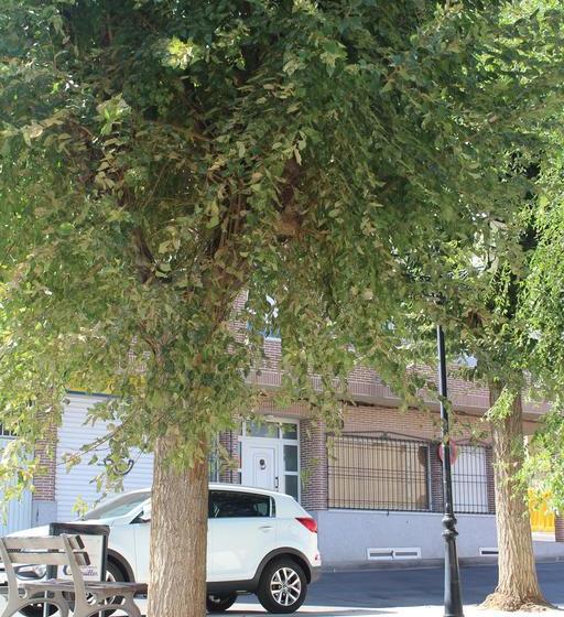 הוסטל Hostal Don Lucas