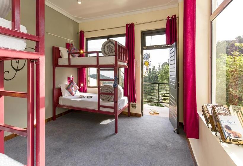 Общежитие Zostel Dharamkot