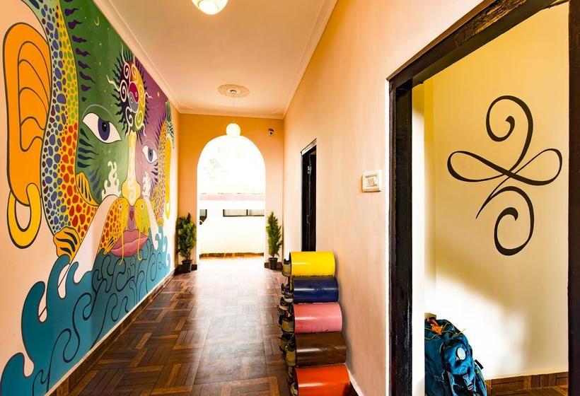 Общежитие Zostel Dharamkot