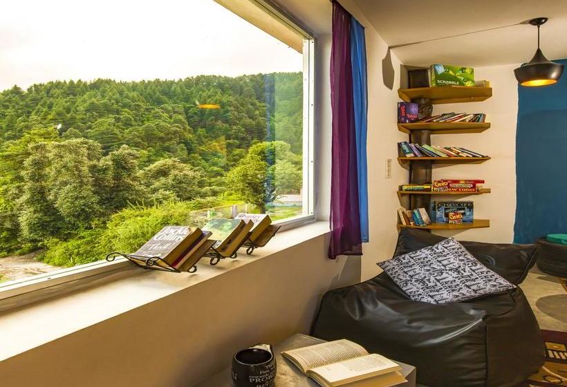 Общежитие Zostel Dharamkot