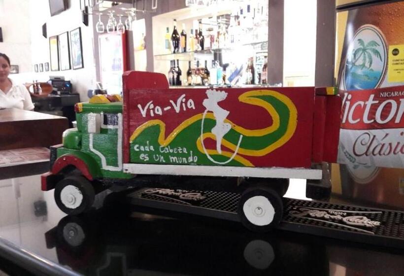 هاستل Viavia Leon