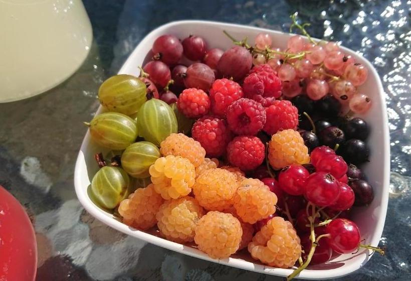 تختخواب و صبحانه Gården Mellan Slotten