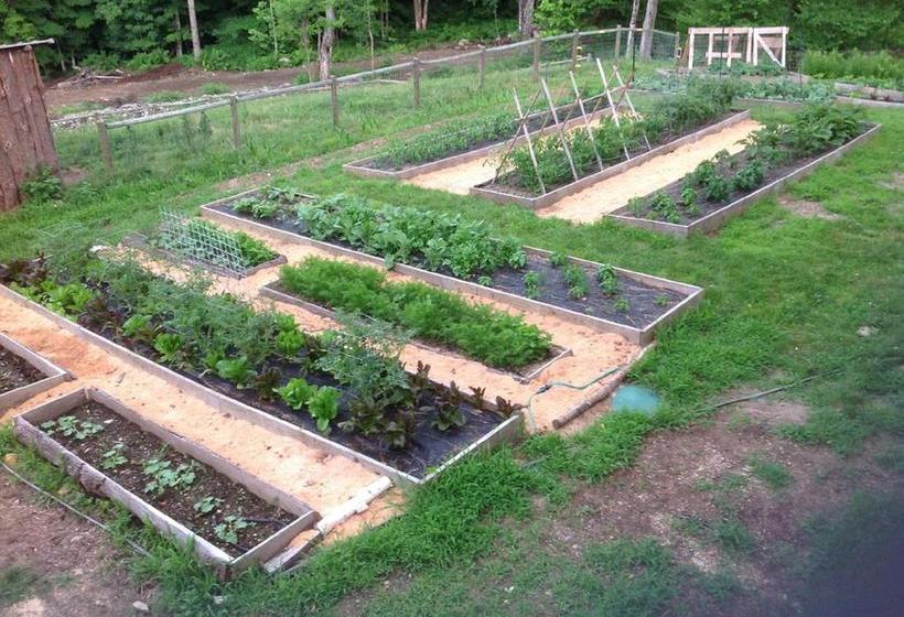 Cold Moon Farm B&b