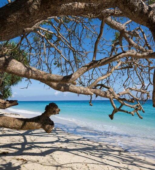 هتل Casa Nemo Beach Resort & Spa