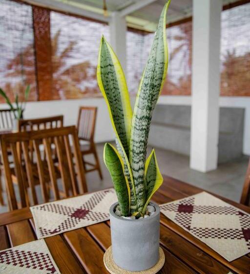 בית מלון כפרי Hirigala Beach Resort
