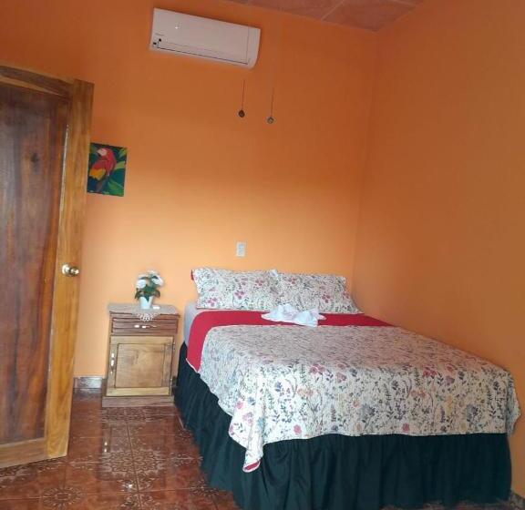 بنسيون Hostal Adonis