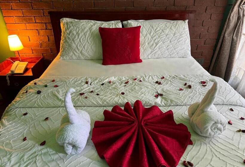 Vip Self Contained Single Room